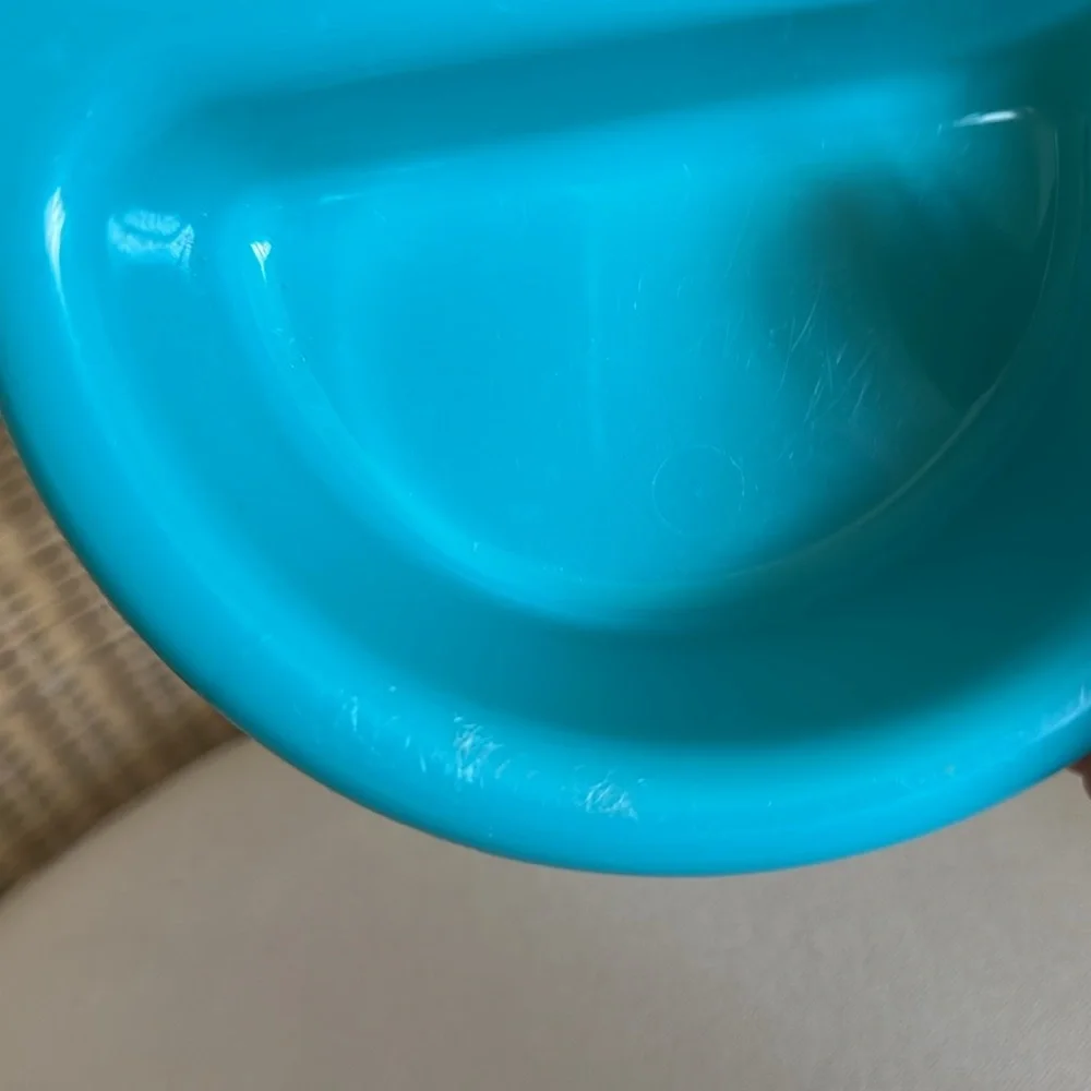 Divided Double Dish Teal Plastic Food Bowl For Small Dog Or Cat